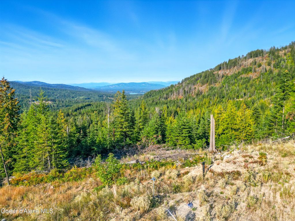 NNA Orion 20Acres Dr, Cocolalla, ID 83813