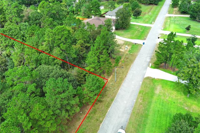 172 Port Au Prince Court, Montgomery, TX 77316