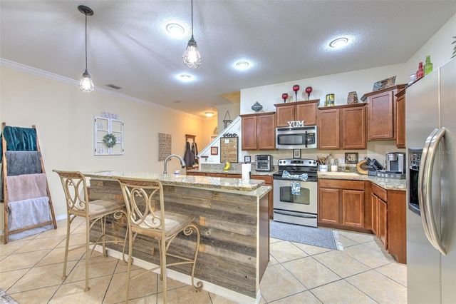 20223 INDIAN ROSEWOOD DRIVE, Tampa, FL 33647