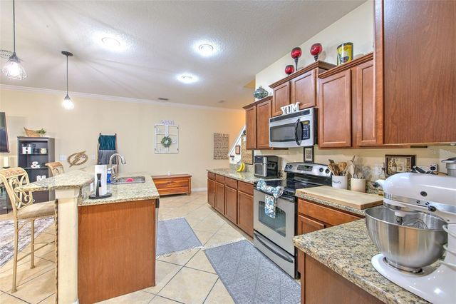 20223 INDIAN ROSEWOOD DRIVE, Tampa, FL 33647