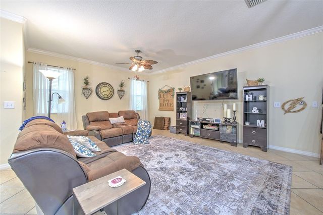 20223 INDIAN ROSEWOOD DRIVE, Tampa, FL 33647