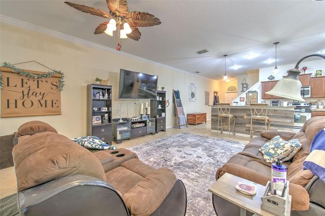 20223 INDIAN ROSEWOOD DRIVE, Tampa, FL 33647