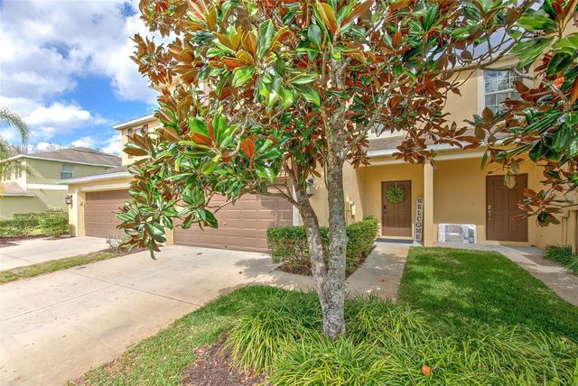 20223 INDIAN ROSEWOOD DRIVE, Tampa, FL 33647