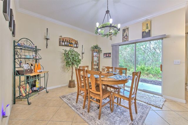 20223 INDIAN ROSEWOOD DRIVE, Tampa, FL 33647