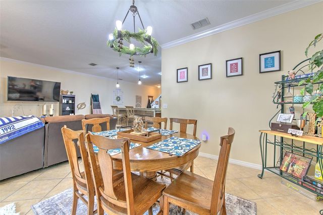 20223 INDIAN ROSEWOOD DRIVE, Tampa, FL 33647