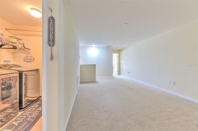 20223 INDIAN ROSEWOOD DRIVE, Tampa, FL 33647