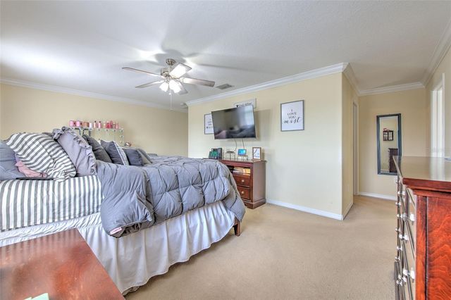 20223 INDIAN ROSEWOOD DRIVE, Tampa, FL 33647