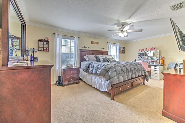 20223 INDIAN ROSEWOOD DRIVE, Tampa, FL 33647