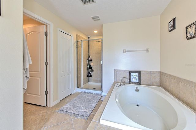 20223 INDIAN ROSEWOOD DRIVE, Tampa, FL 33647