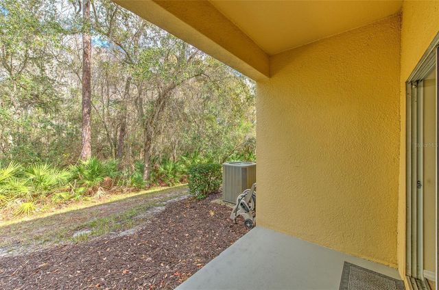 20223 INDIAN ROSEWOOD DRIVE, Tampa, FL 33647