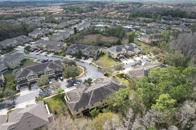 20223 INDIAN ROSEWOOD DRIVE, Tampa, FL 33647