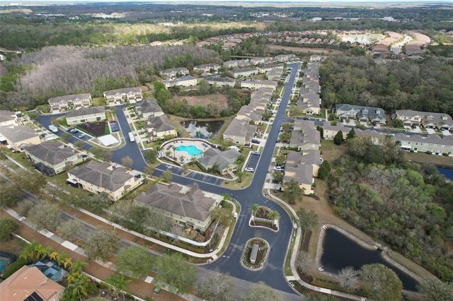 20223 INDIAN ROSEWOOD DRIVE, Tampa, FL 33647