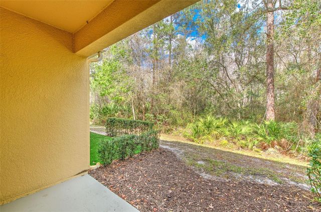 20223 INDIAN ROSEWOOD DRIVE, Tampa, FL 33647