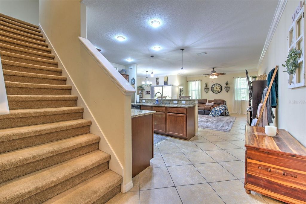 Image 23 of property listing at 20223 INDIAN ROSEWOOD DRIVE, Tampa, FL 33647