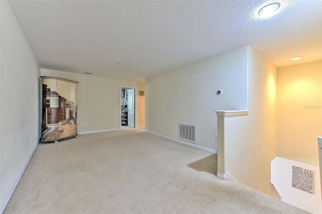 Image 24 of property listing at 20223 INDIAN ROSEWOOD DRIVE, Tampa, FL 33647