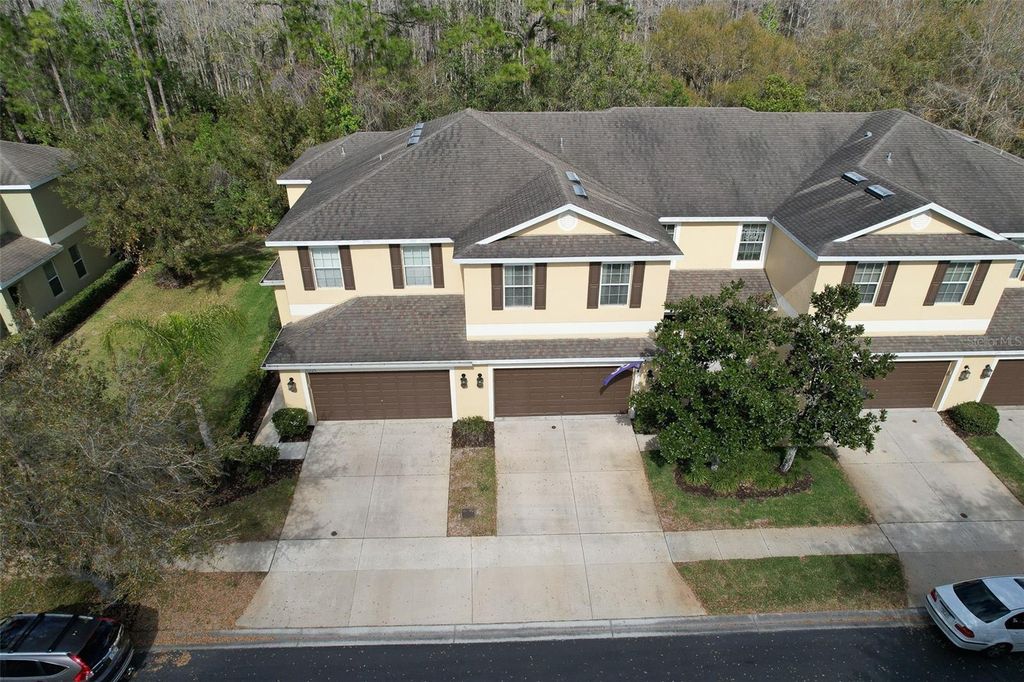 Image 4 of property listing at 20223 INDIAN ROSEWOOD DRIVE, Tampa, FL 33647