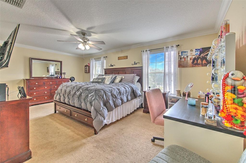 Image 34 of property listing at 20223 INDIAN ROSEWOOD DRIVE, Tampa, FL 33647