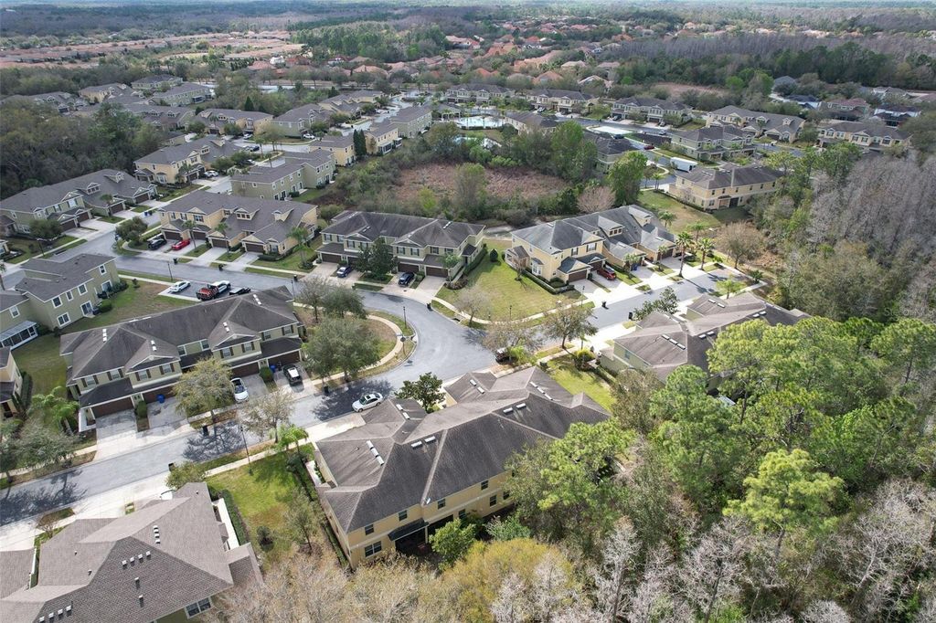 Image 43 of property listing at 20223 INDIAN ROSEWOOD DRIVE, Tampa, FL 33647