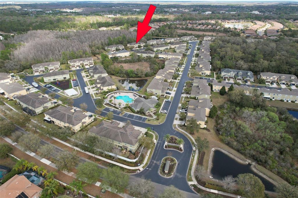 Image 48 of property listing at 20223 INDIAN ROSEWOOD DRIVE, Tampa, FL 33647