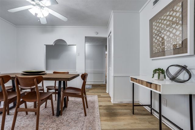 3925 Branch Hollow Drive, Plano, TX 75023