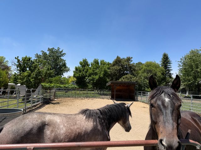 245 E 400 N, Lindon, UT 84042