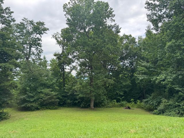 852 Incline Road, Whitwell, TN 37397