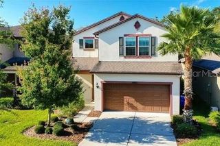 6402 YELLOW BUCKEYE DRIVE, Riverview, FL 33578