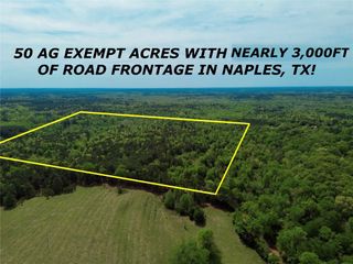 0 County Road 2742, Naples, TX 75568
