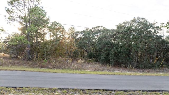 2567 W WILMINGTON LOOP, Citrus Springs, FL 34434