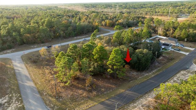 2567 W WILMINGTON LOOP, Citrus Springs, FL 34434