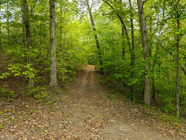 445 Tranquil Cove, Murphy, NC 28906