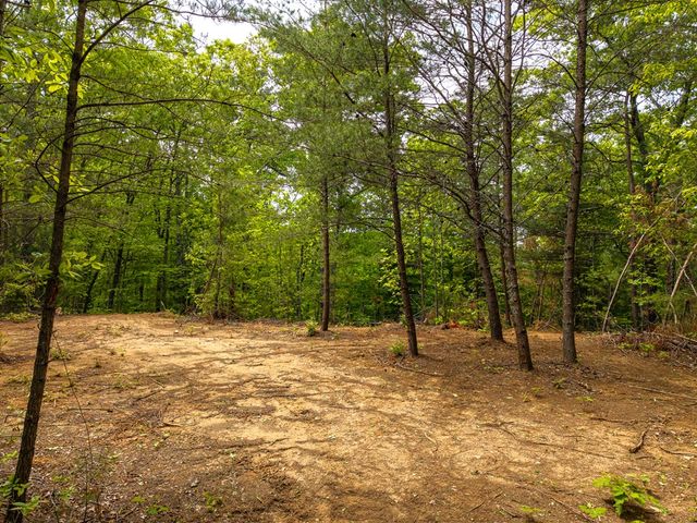 445 Tranquil Cove, Murphy, NC 28906