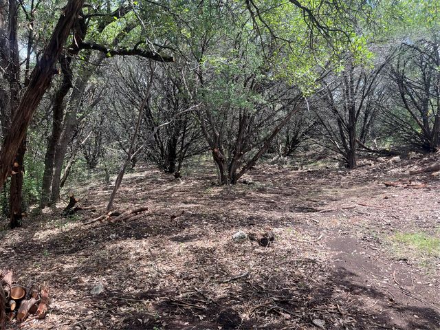 7413 Spanish Oak DR, Lago Vista, TX 78645