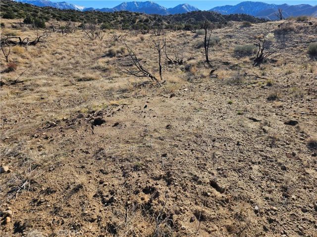 6 128th East, Juniper Hills, CA 93543