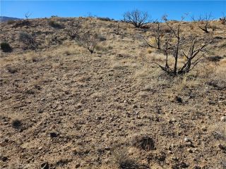 6 128th East, Juniper Hills, CA 93543