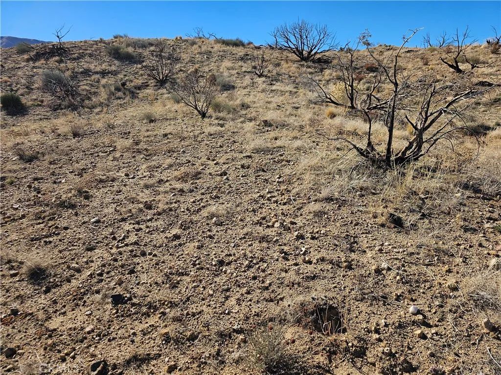 6 128th East, Juniper Hills, CA 93543