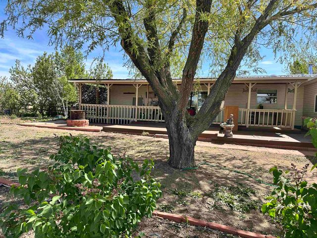 21177 Navajo Way, Eckert, CO 81418