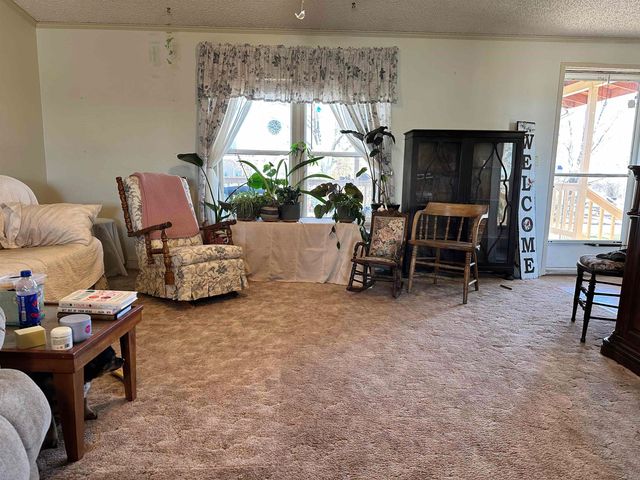 21177 Navajo Way, Eckert, CO 81418