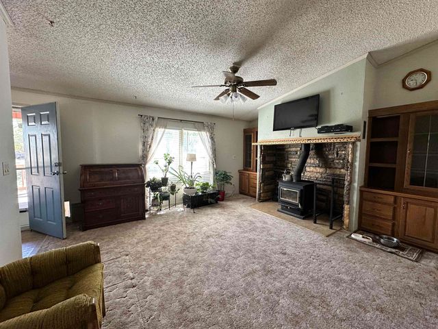 21177 Navajo Way, Eckert, CO 81418