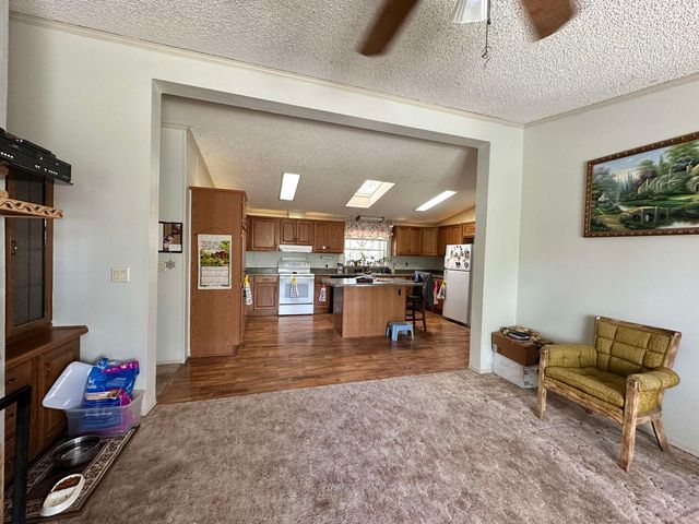 21177 Navajo Way, Eckert, CO 81418