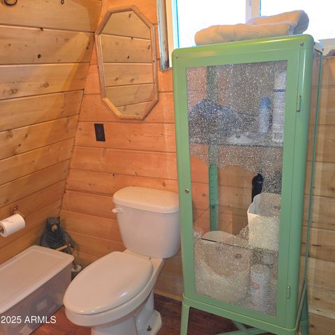 7426 W FOREST SERVICE Rd 200 --, Young, AZ 85554