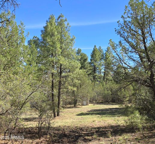 7426 W FOREST SERVICE Rd 200 --, Young, AZ 85554