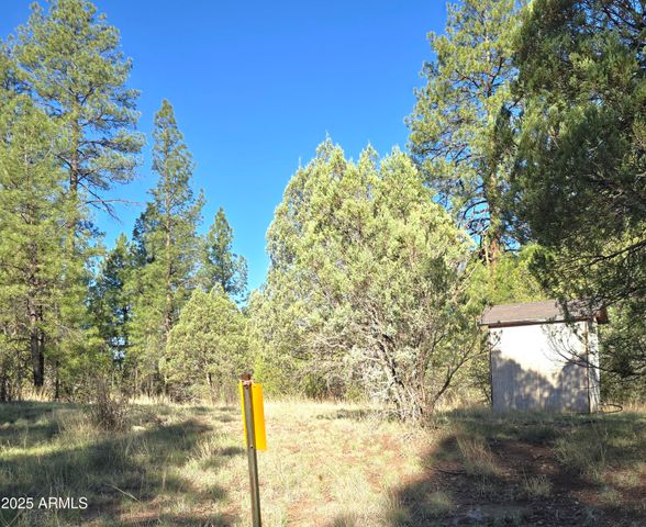 7426 W FOREST SERVICE Rd 200 --, Young, AZ 85554