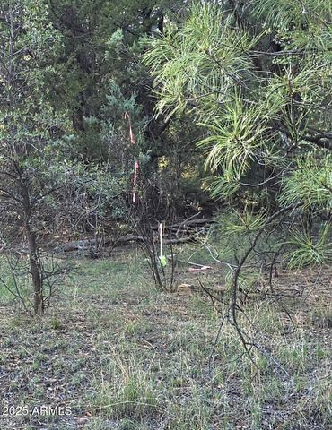 7426 W FOREST SERVICE Rd 200 --, Young, AZ 85554