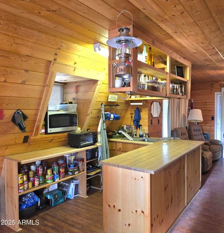 7426 W FOREST SERVICE Rd 200 --, Young, AZ 85554