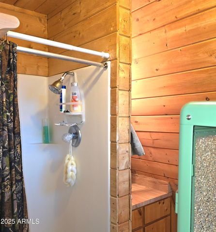 7426 W FOREST SERVICE Rd 200 --, Young, AZ 85554