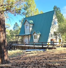 7426 W FOREST SERVICE Rd 200 --, Young, AZ 85554