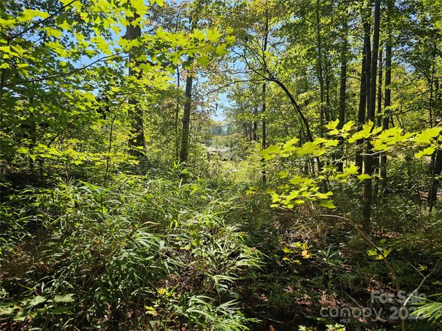 TBD Lackey town Road, Old Fort, NC 28762