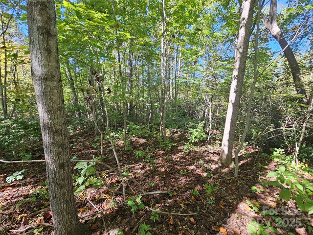 TBD Lackey town Road, Old Fort, NC 28762