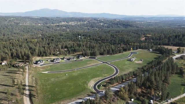 31912 N Zander Ln, Chattaroy, WA 99003